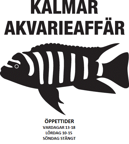 Beskrivning: I:\Kalmar Akvarieaffär\hemsidaaktuelltesting\logga.gif